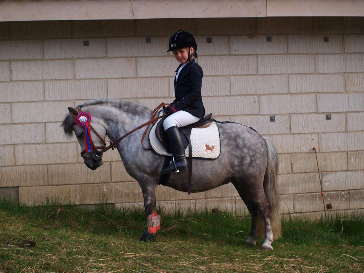 Anden særlig race Høgfeldt's Rapunsel<3 billede 1