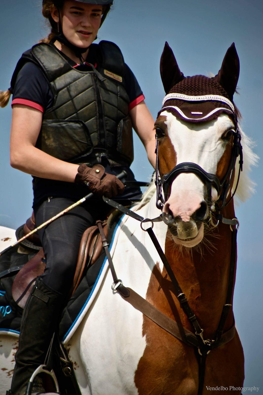 Pinto What A Spot - Han er så cute <3 billede 9