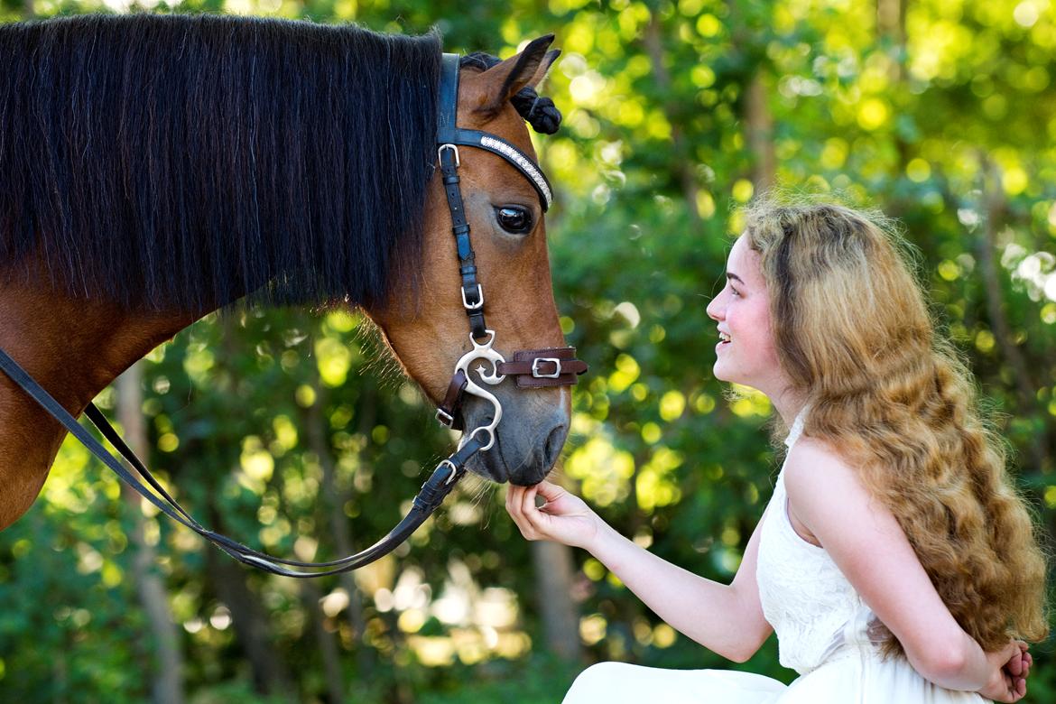 Welsh Partbred (Sec F) Flower - Verdens bedste pony! 8 år sammen ♥ billede 18