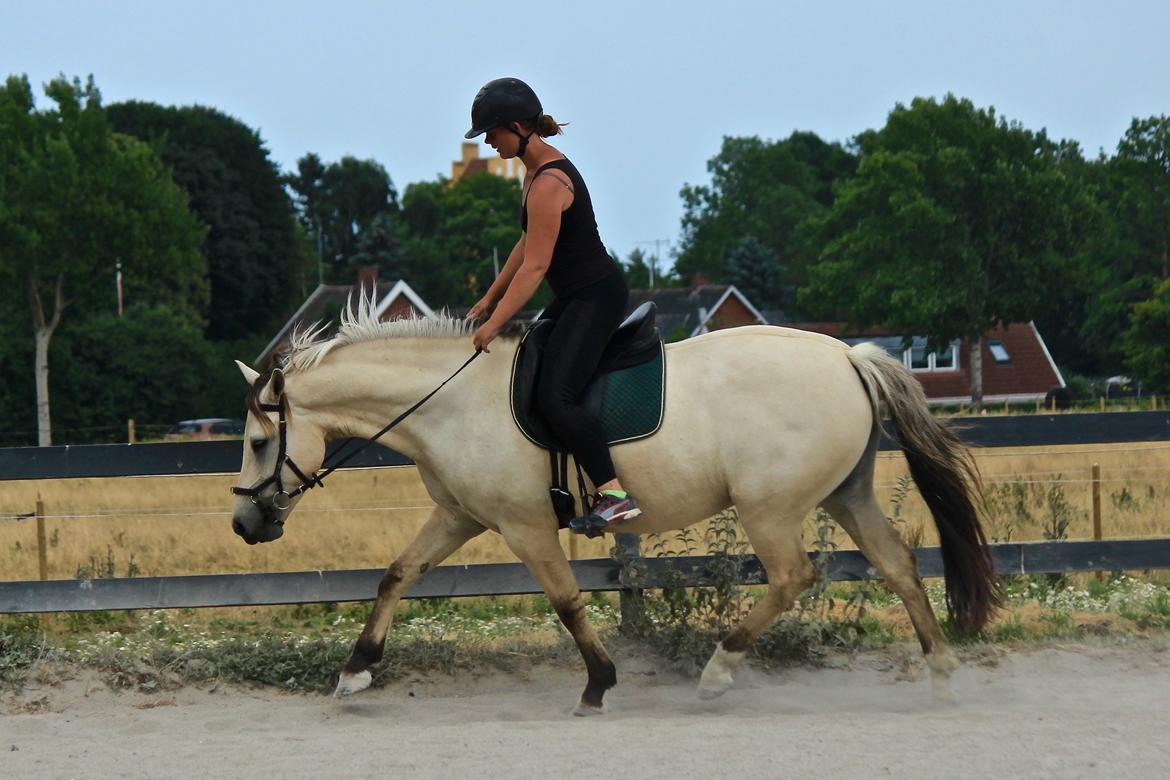 Anden særlig race Bubie (Bella II) billede 43