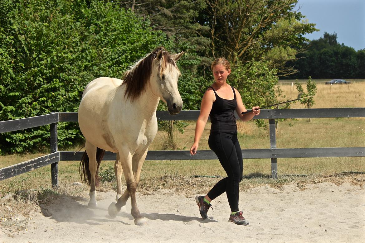 Anden særlig race Bubie (Bella II) billede 18