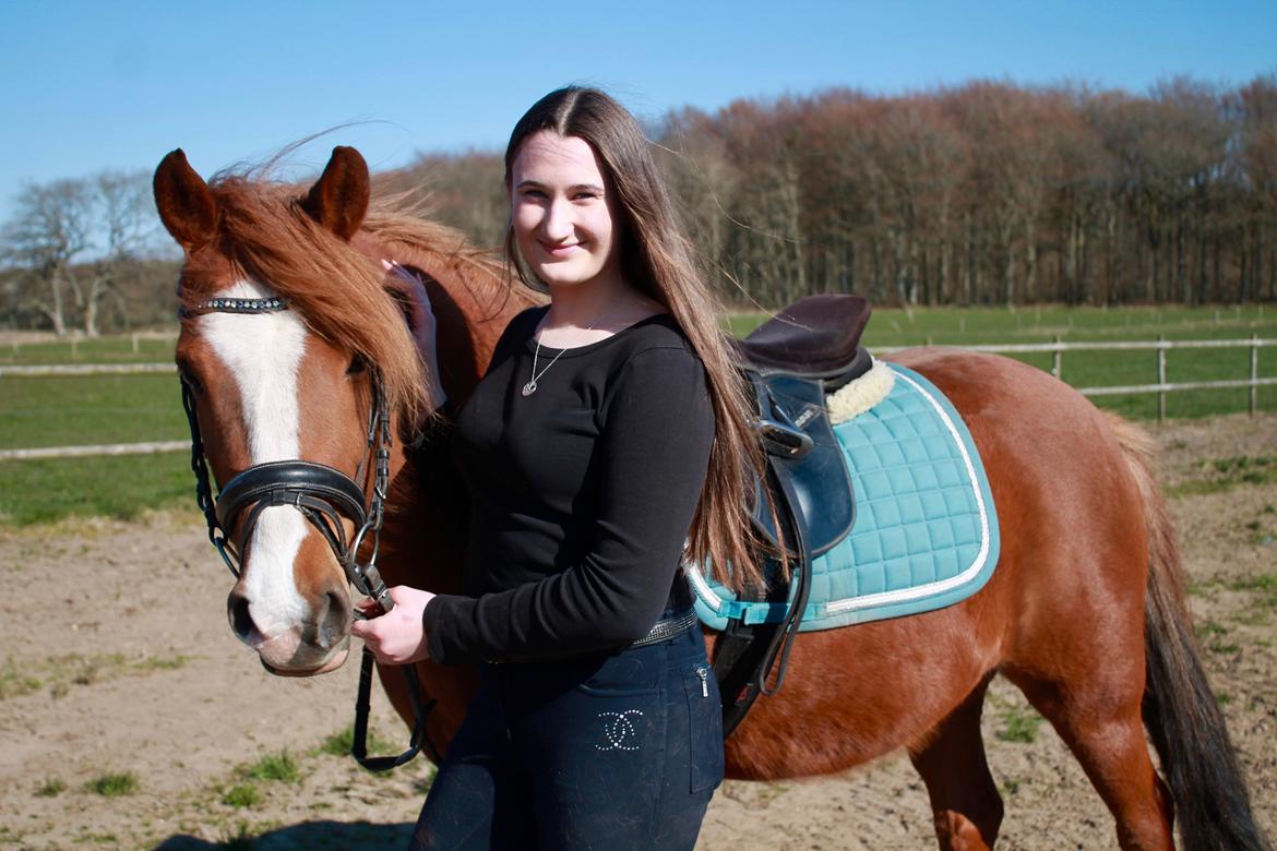 Anden særlig race Fanzo billede 4