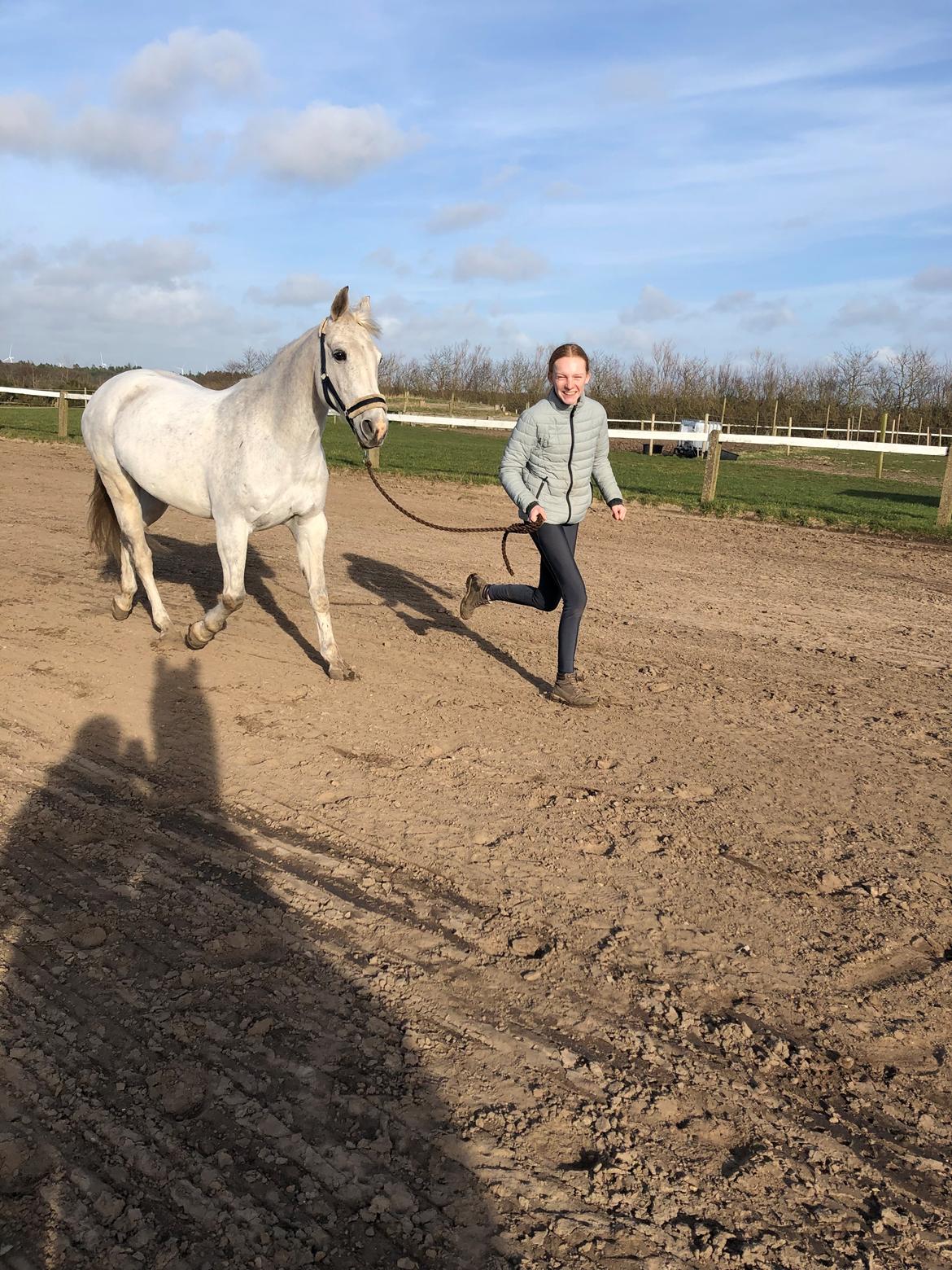 Anden særlig race Miss Lisco billede 6