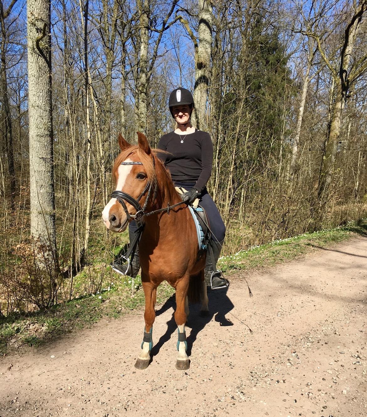 Anden særlig race Fanzo - En dejlig forårstur i skoven. billede 1