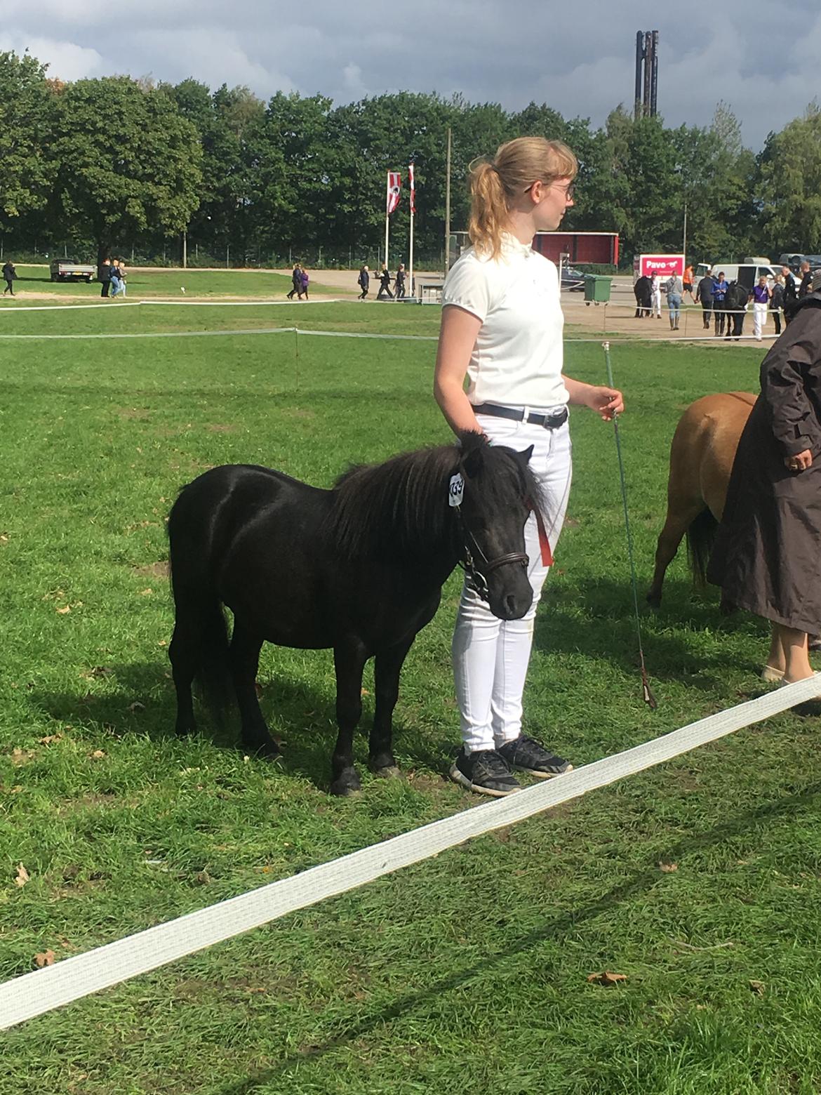 Anden særlig race I Silver [Gajol/Geo] billede 4