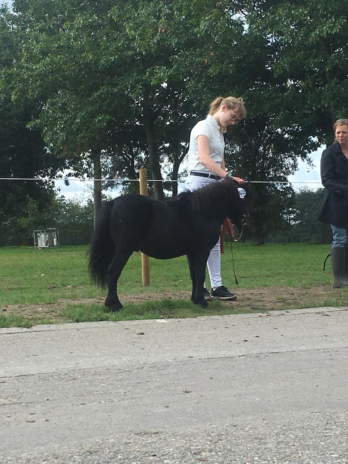 Anden særlig race I Silver [Gajol/Geo] billede 5
