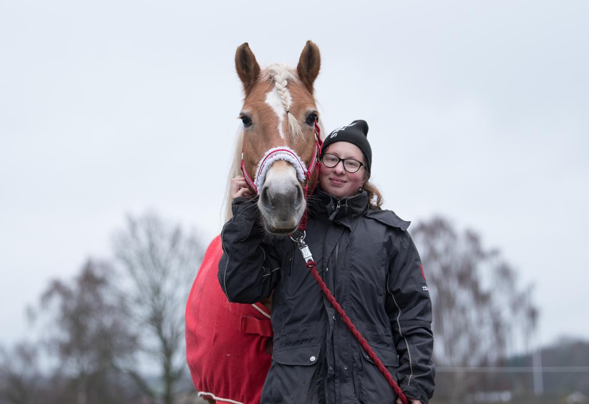 Tyroler Haflinger Astilbe - billede taget af Maiken Bang Photography billede 38