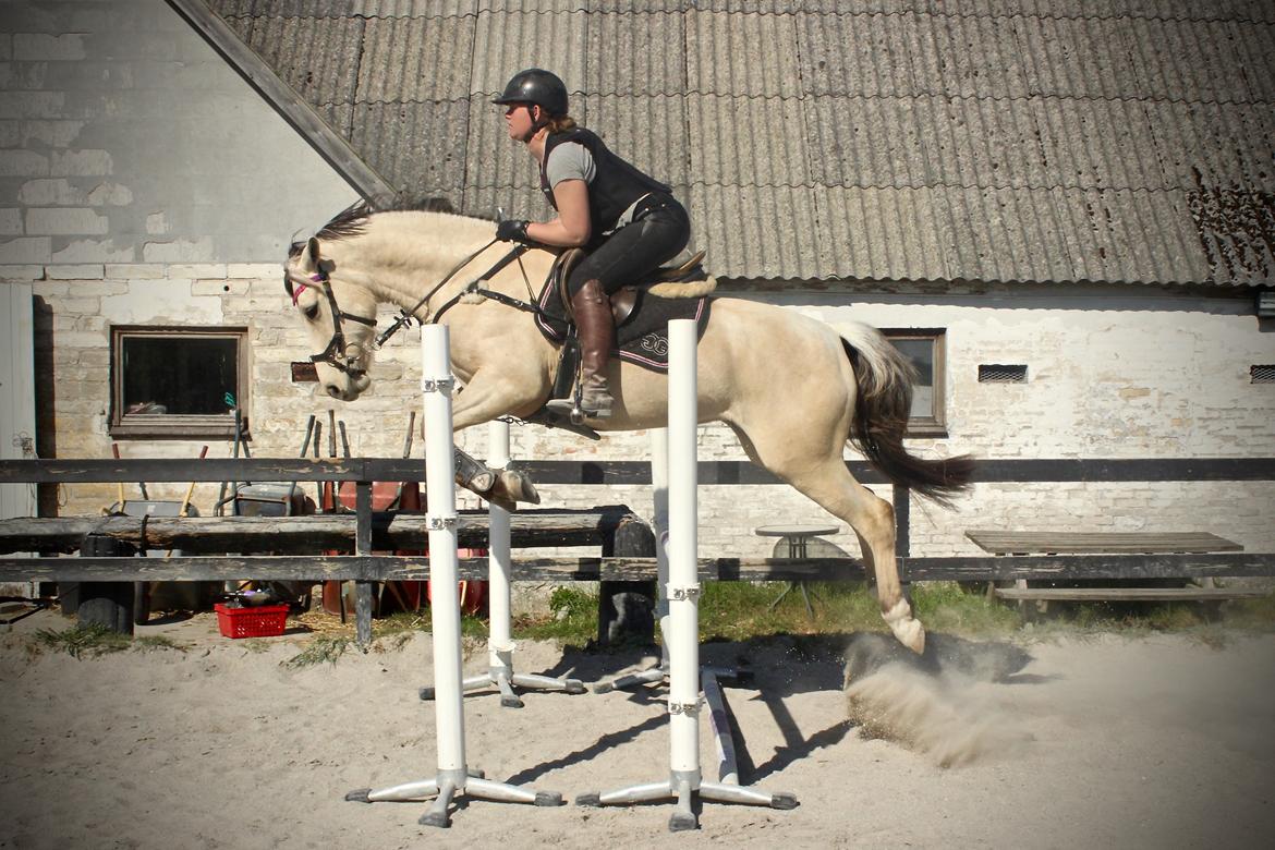 Anden særlig race Bubie (Bella II) billede 37