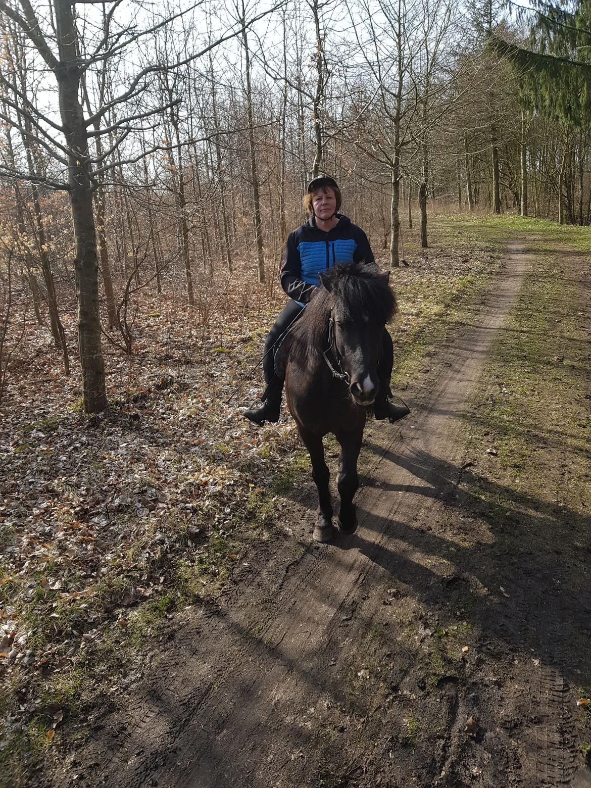 Islænder Absalon fra mosen billede 13