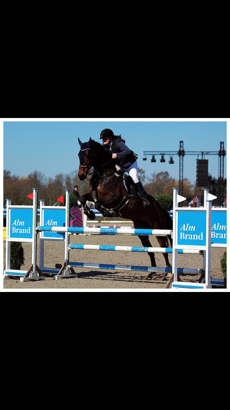 Anden særlig race Østmarks Margrethe  billede 13