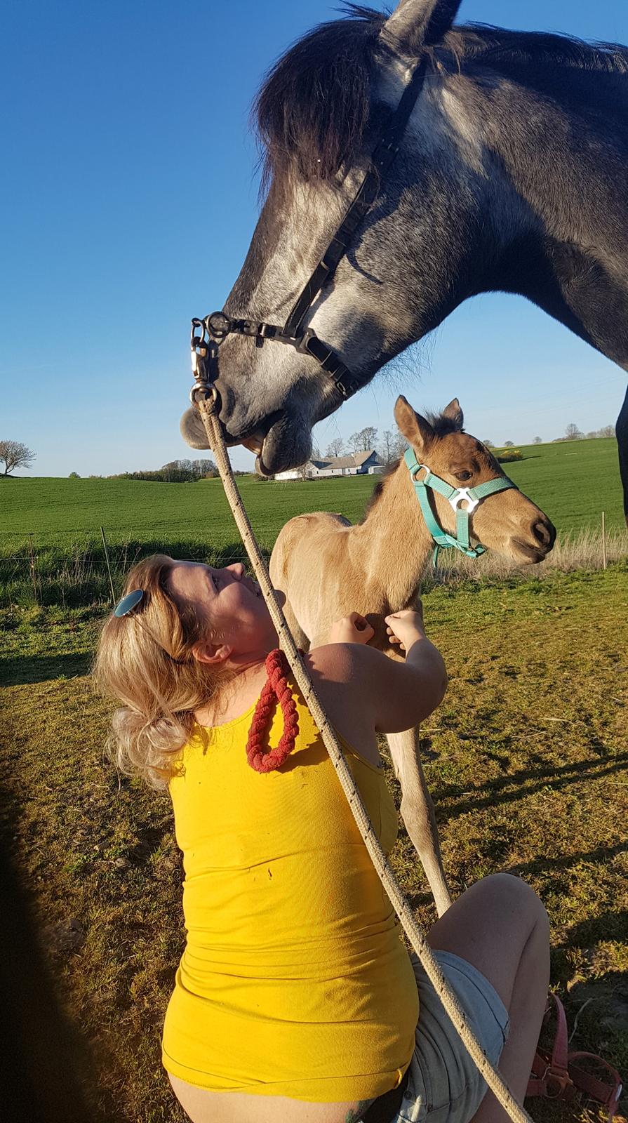 Cruzado Athena - Uhhhh det er lige der det klør billede 9