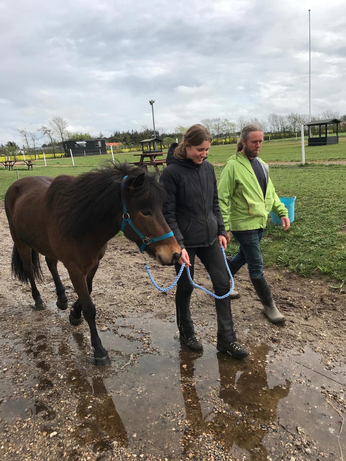 Islænder Magnús fra Kragensgård billede 19