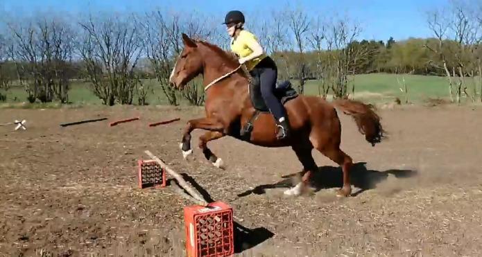 Frederiksborg Casio - springning i cordeo, og med alt for lange bøjler billede 1