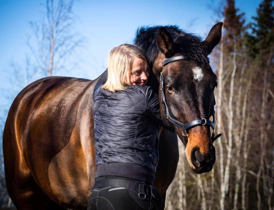 Dansk Varmblod Farmand's Premiere billede 1