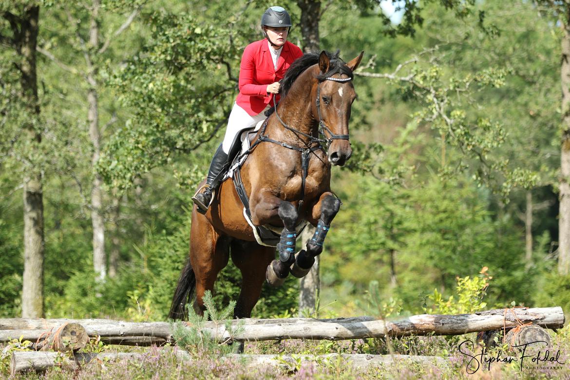 Holstener Canton billede 1