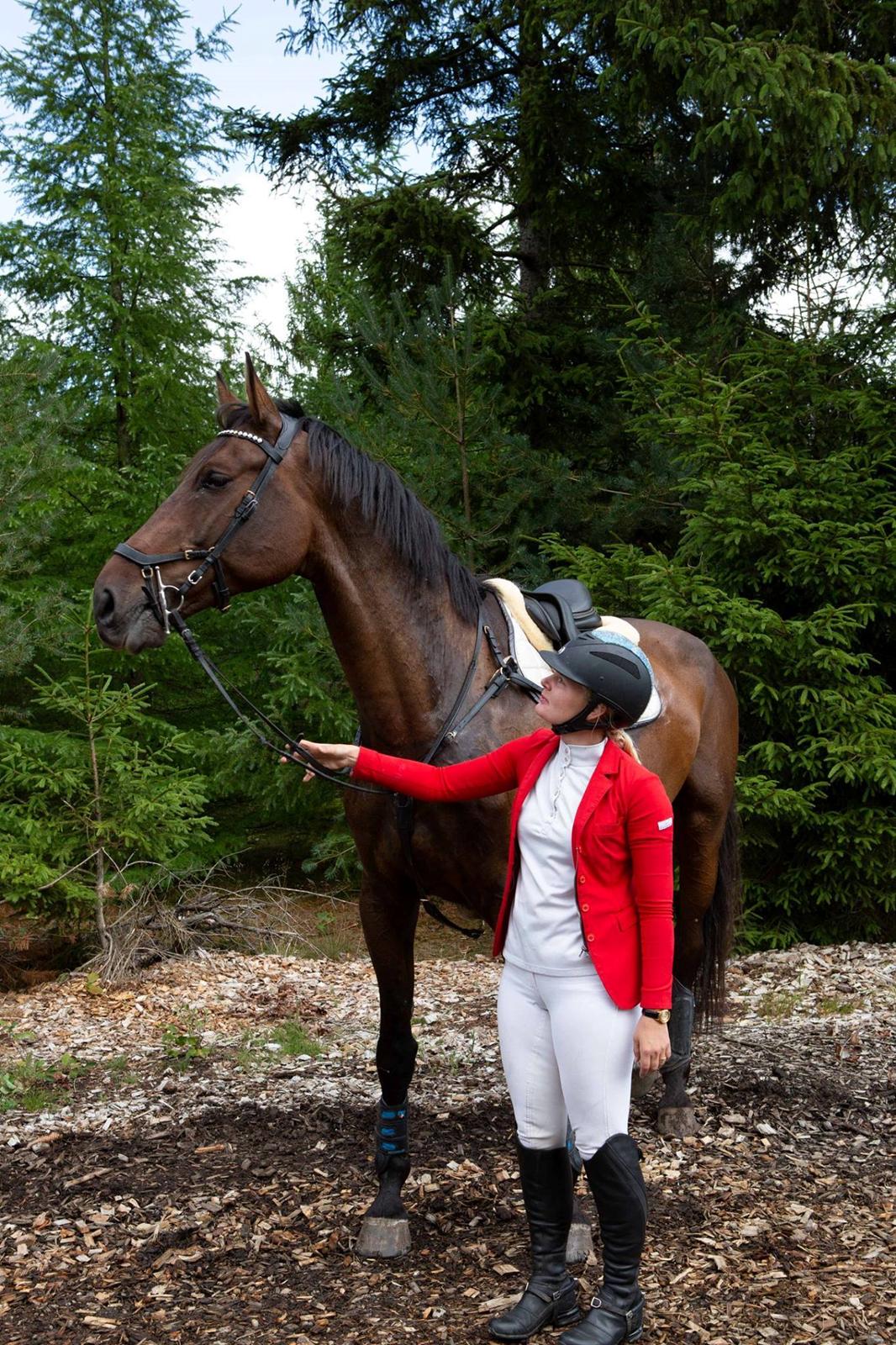 Holstener Canton billede 2