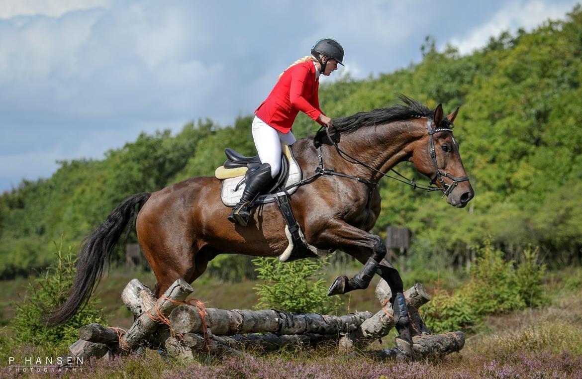 Holstener Canton billede 3