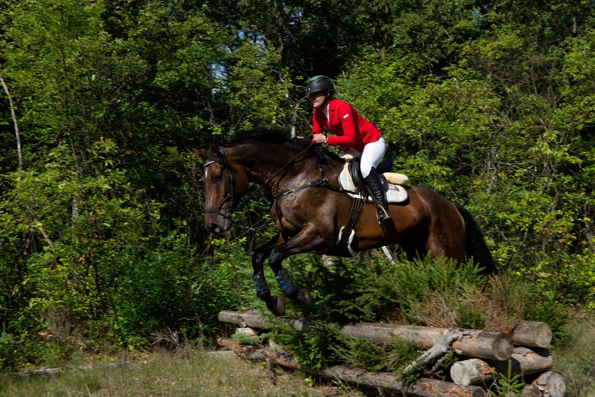 Holstener Canton billede 5