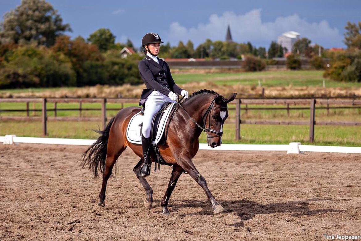 DSP Fontain af Stensnæs - Sjællandsmesterskab 2018 - Foto: Tina Jeppesen billede 1