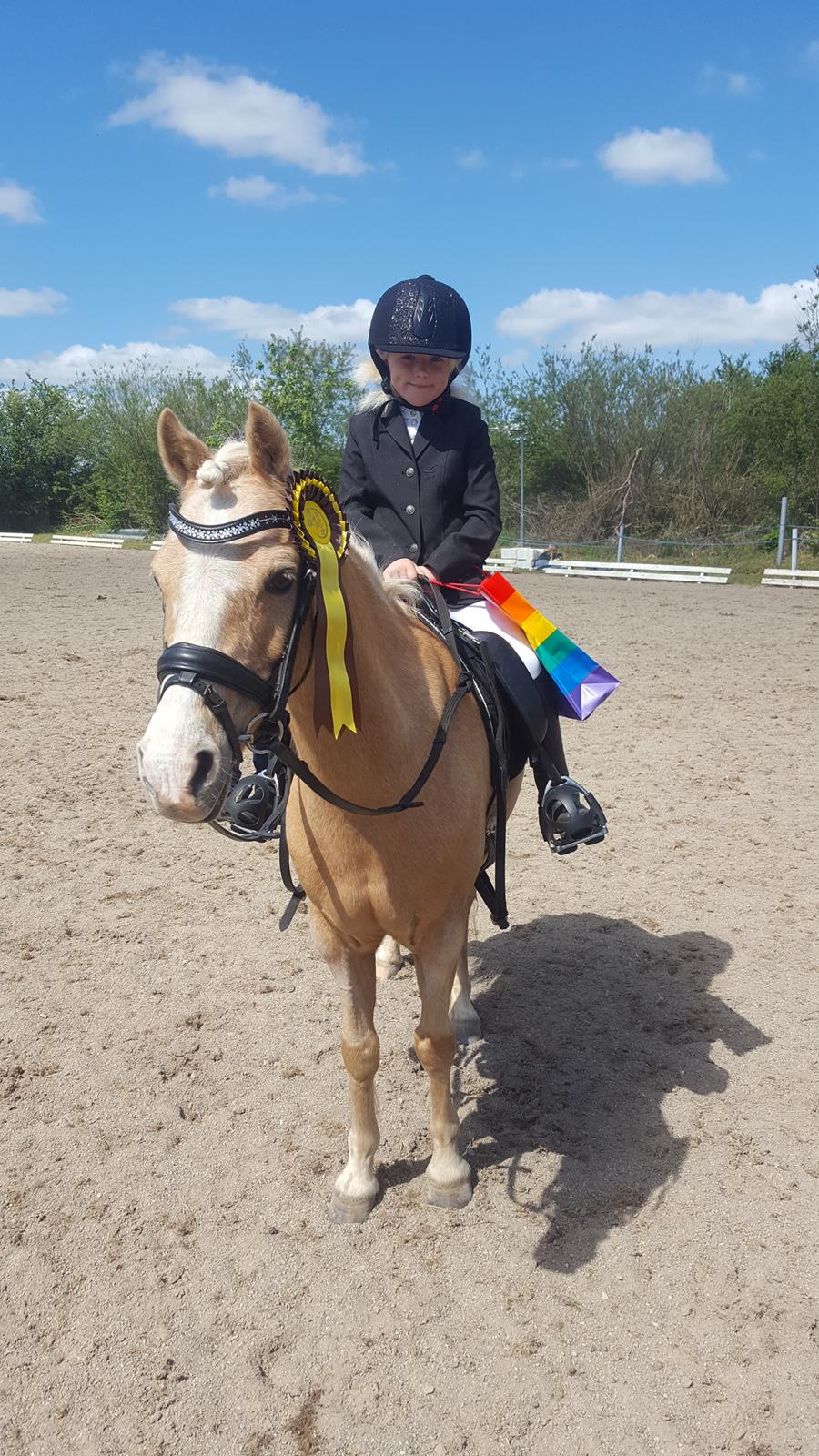 Anden særlig race Guldlok aka Gurli (RIP) billede 1