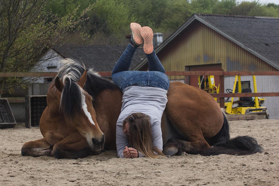 Anden særlig race Revsgaards primo billede 7