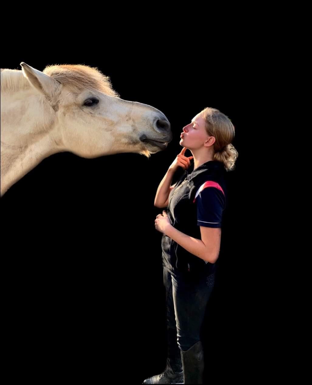 Fjordhest Romeo's hans billede 4