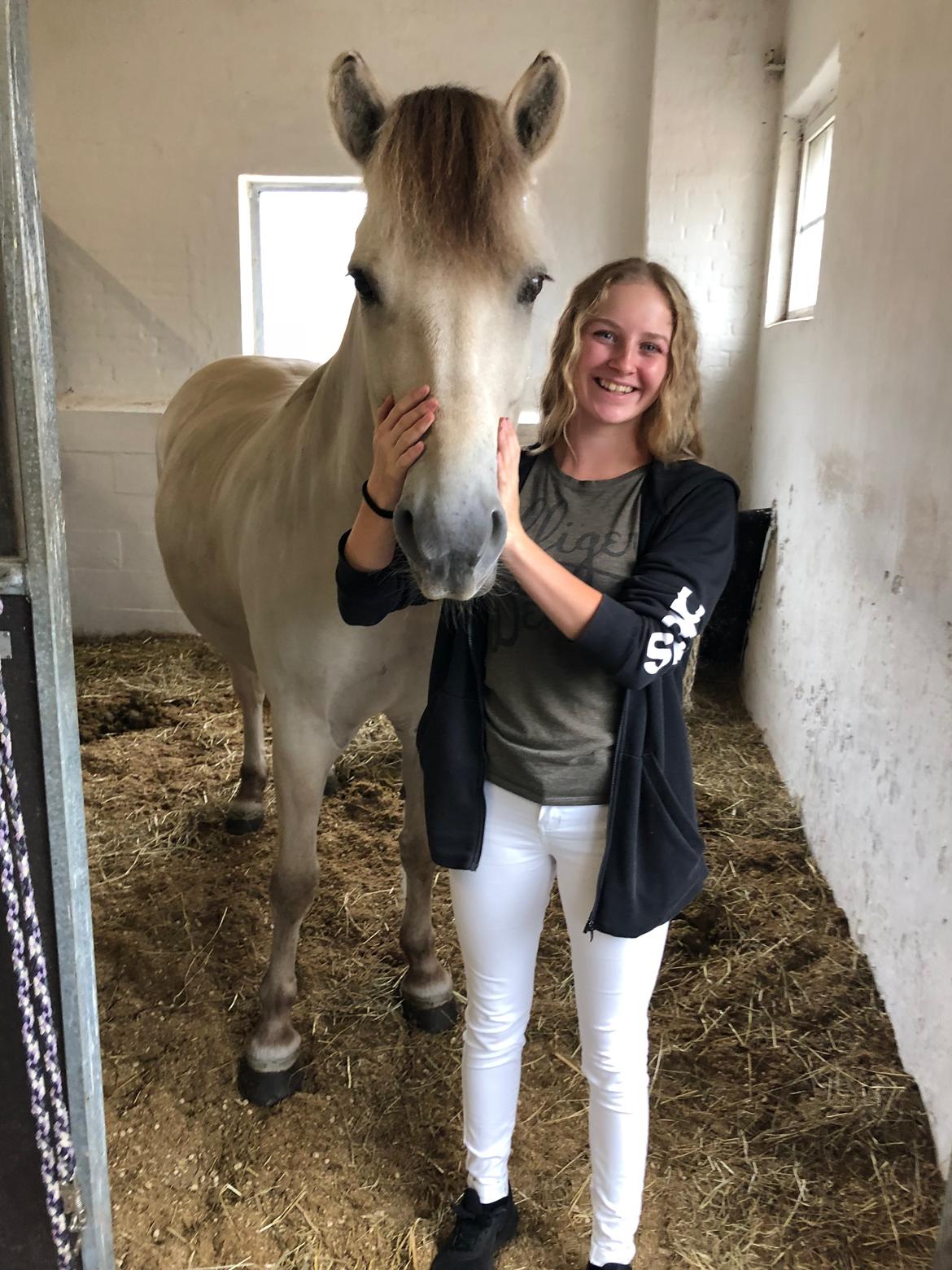 Fjordhest Romeo's hans billede 10