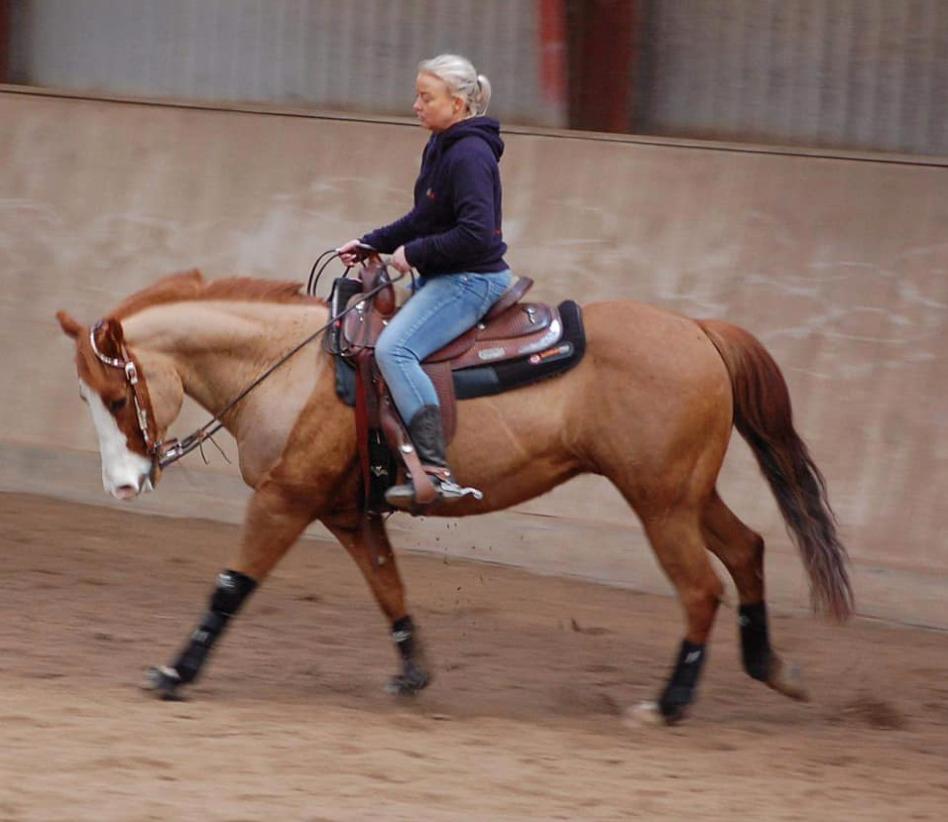 Paint Felix billede 3