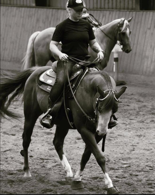 Paint Felix billede 5