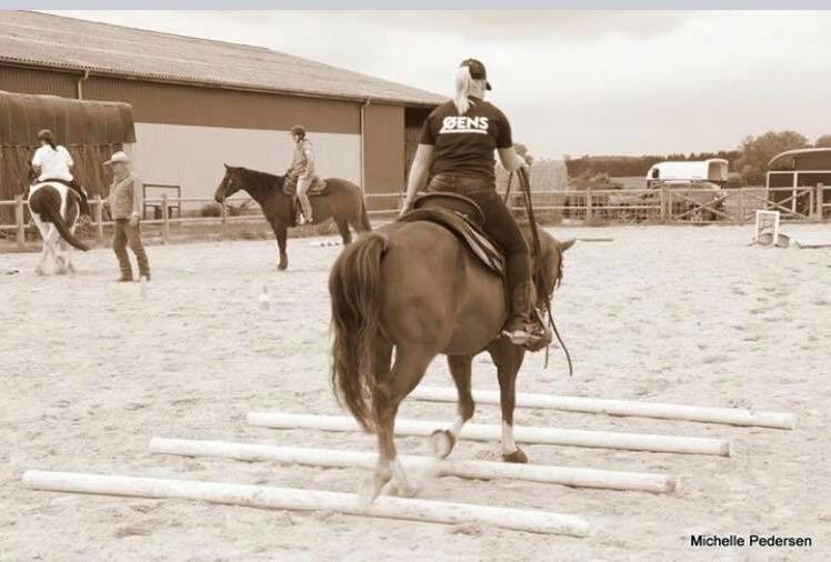 Paint Felix billede 4