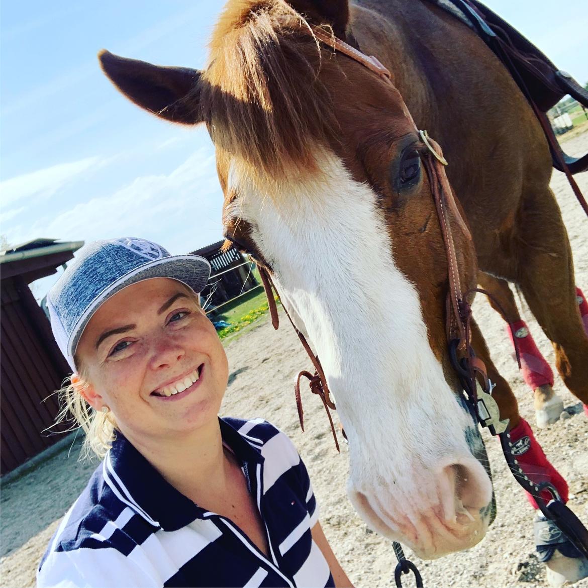 Paint Felix billede 6