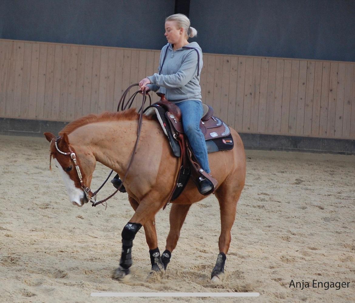 Paint Felix billede 11