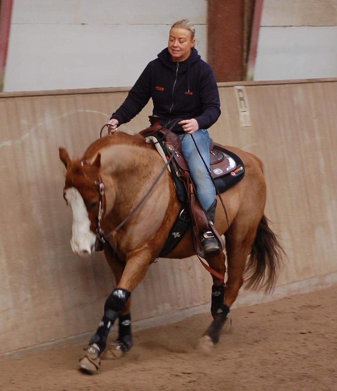 Paint Felix billede 16