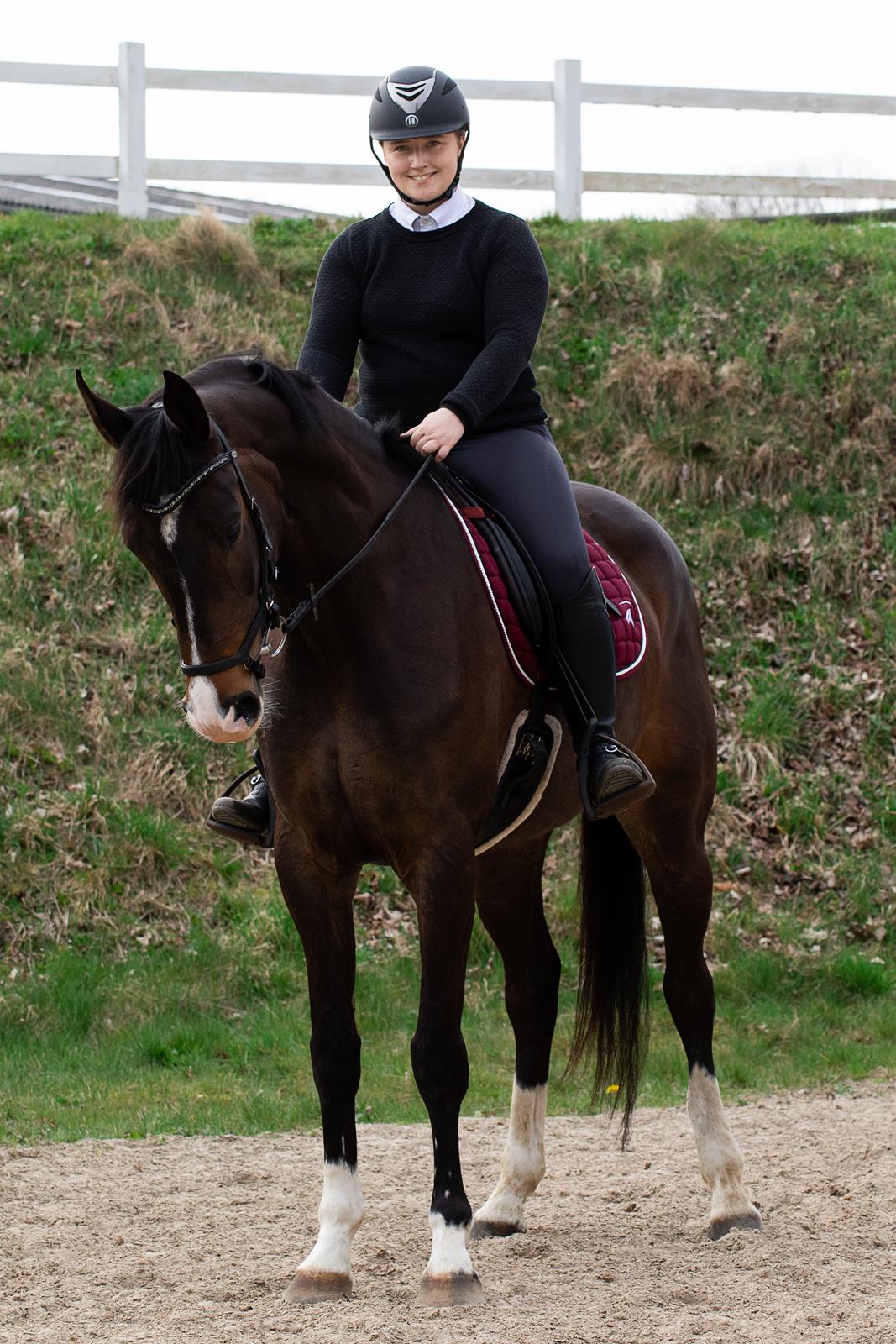 Dansk Varmblod Foulum´s Dia billede 2