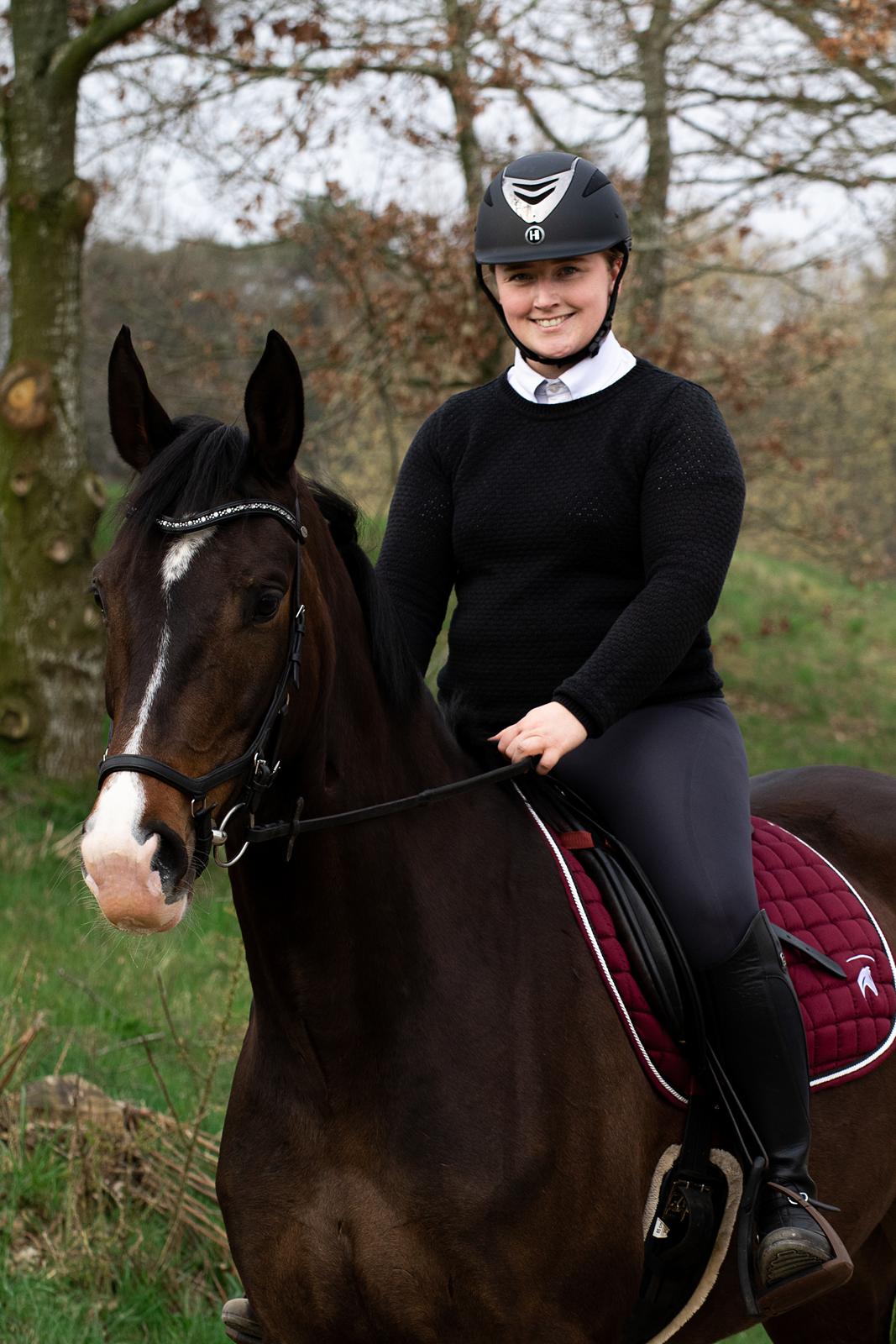 Dansk Varmblod Foulum´s Dia billede 7