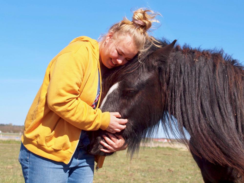 Irish Cob Nydal's Dark Knight of Sorcas - 20/04/19 billede 4
