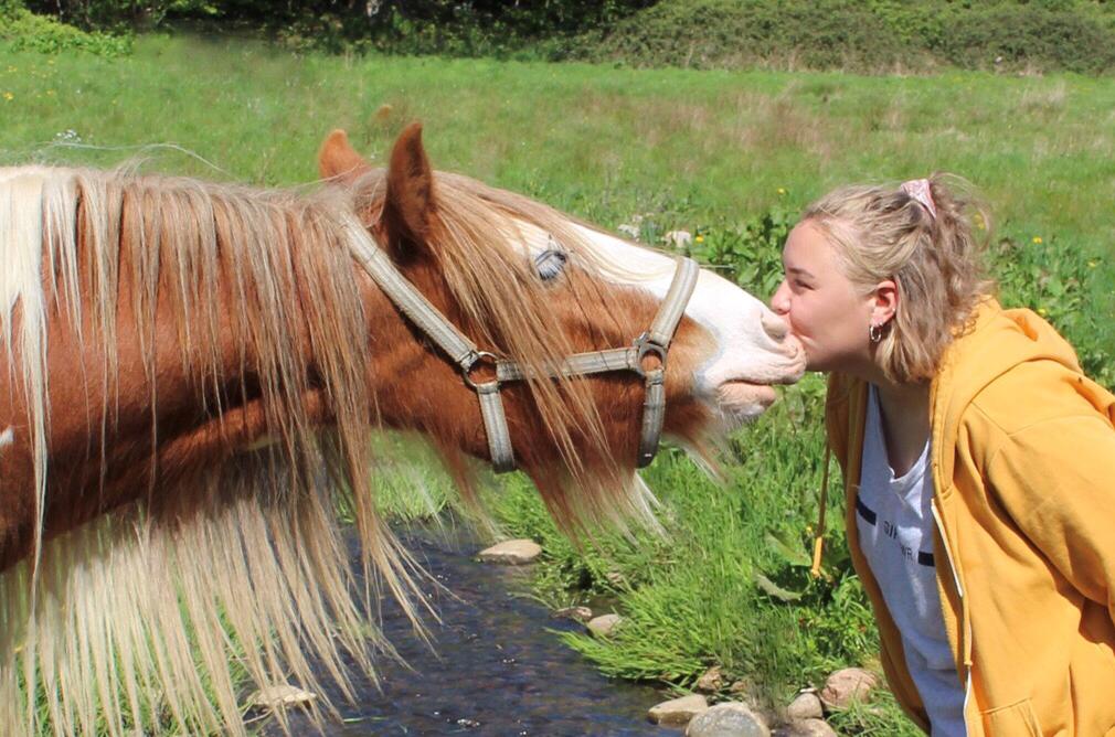 Irish Cob Nydal's Spencer - 11/05/19 dagen Spencer flyttede fra Sjælland tilbage til Jylland (hvor han oprindeligt er fra). billede 8