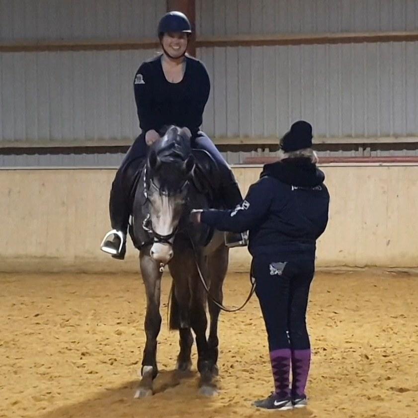 Dansk Varmblod La-Señorita Blanca  billede 5