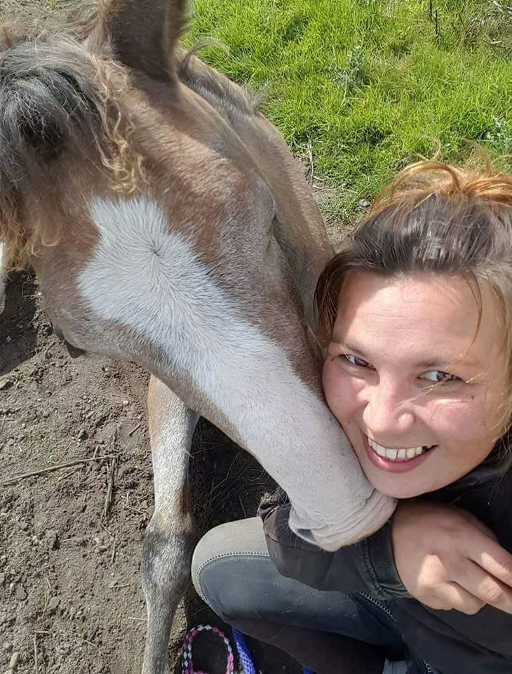 Dansk Varmblod La-Señorita Blanca  billede 18