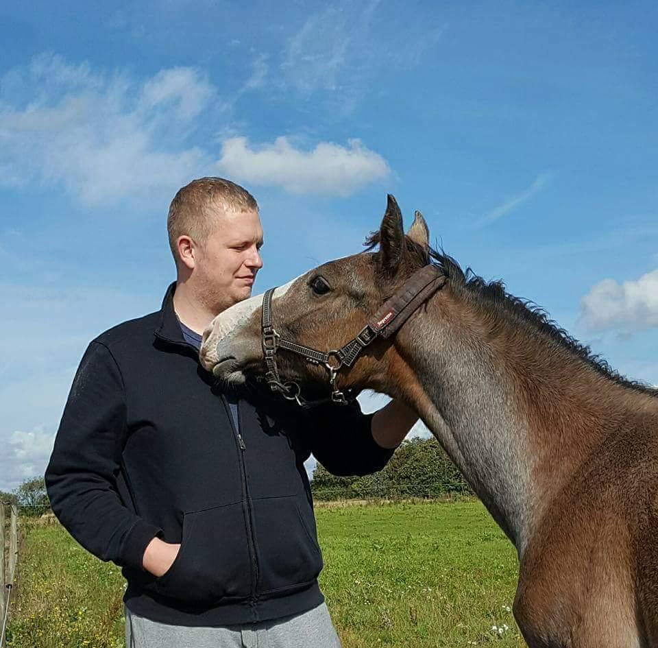 Dansk Varmblod La-Señorita Blanca  billede 19