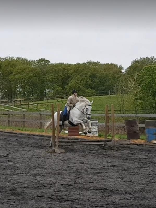 Anden særlig race Bella (Part) billede 2