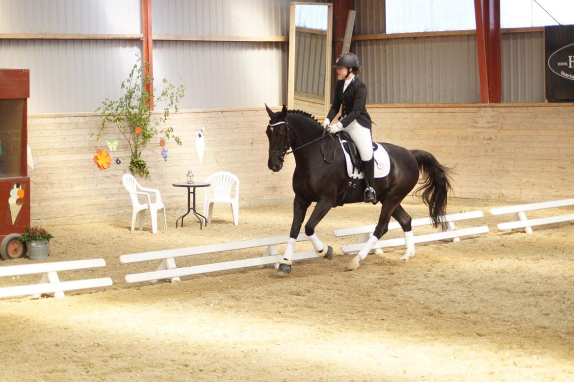 Oldenborg Fillip billede 4