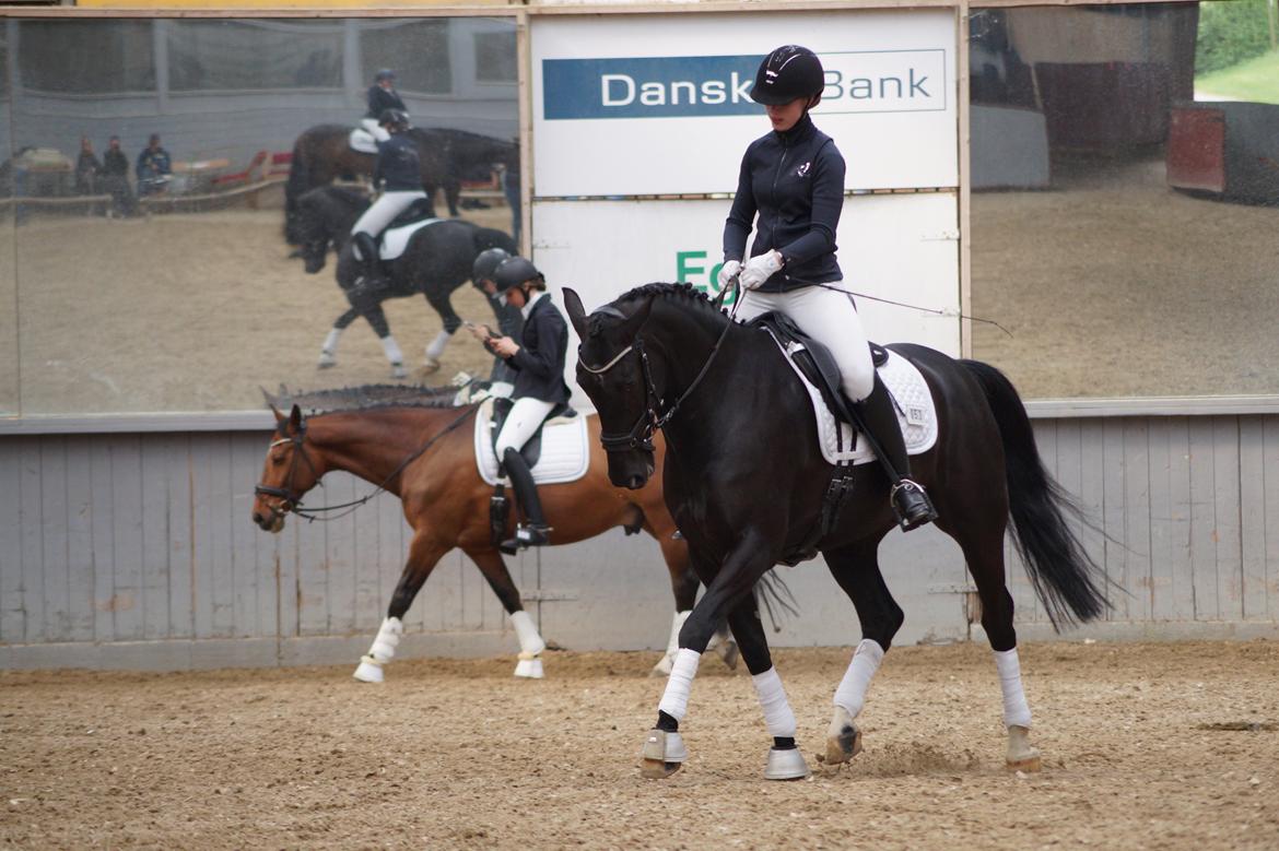 Oldenborg Fillip billede 5