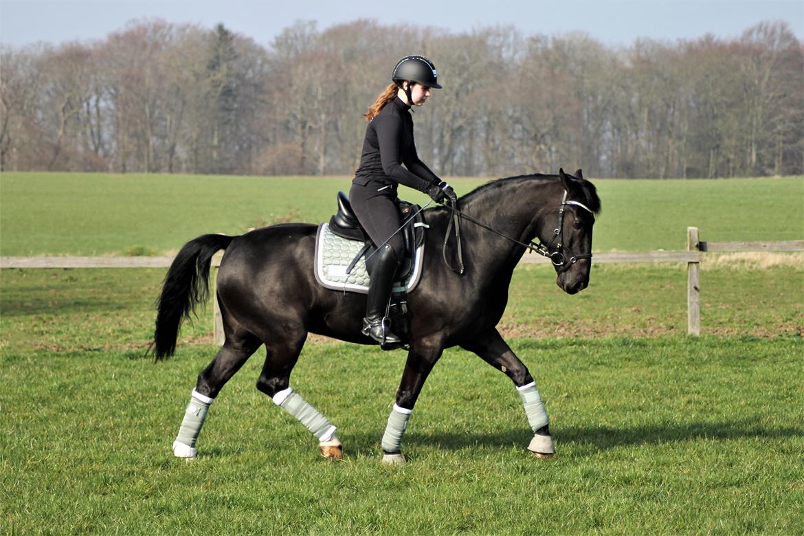 Oldenborg Fillip billede 6