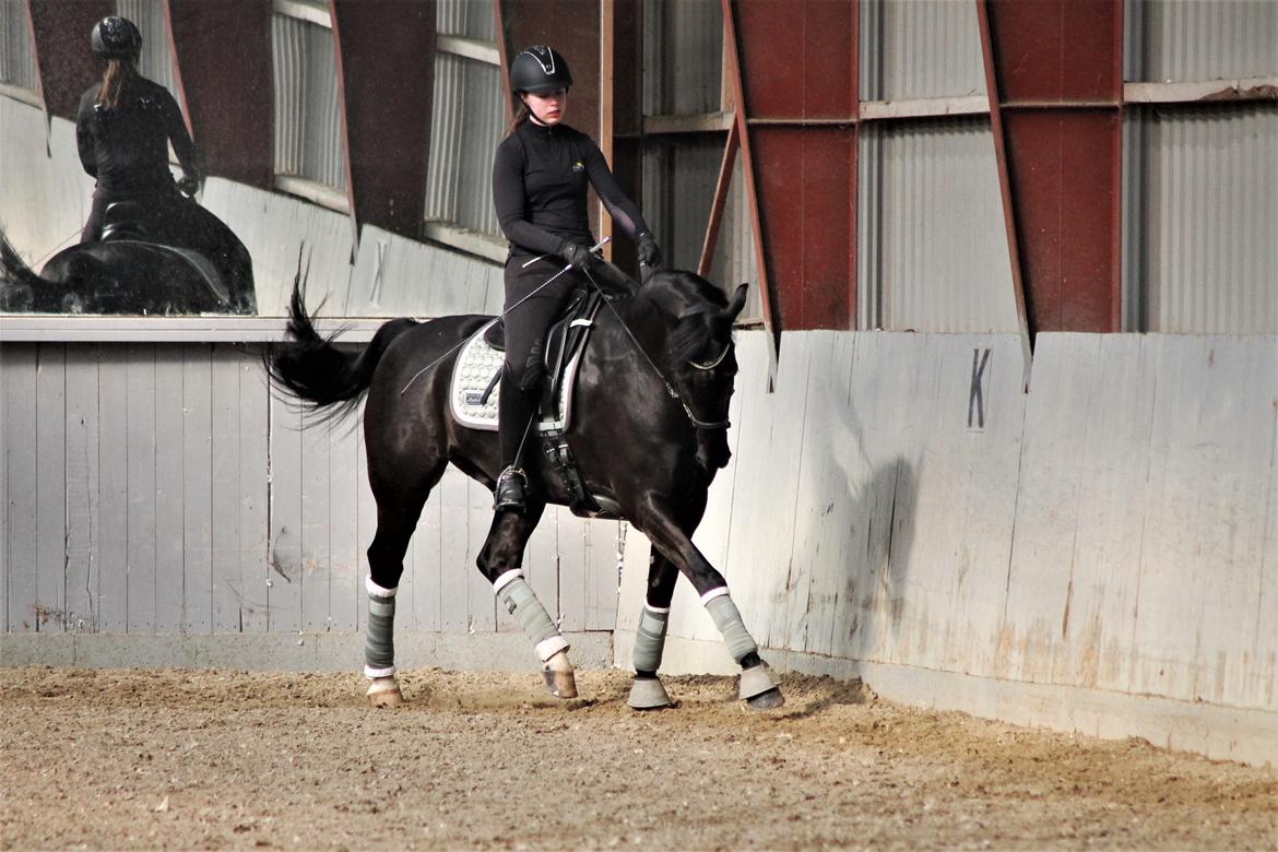 Oldenborg Fillip billede 8