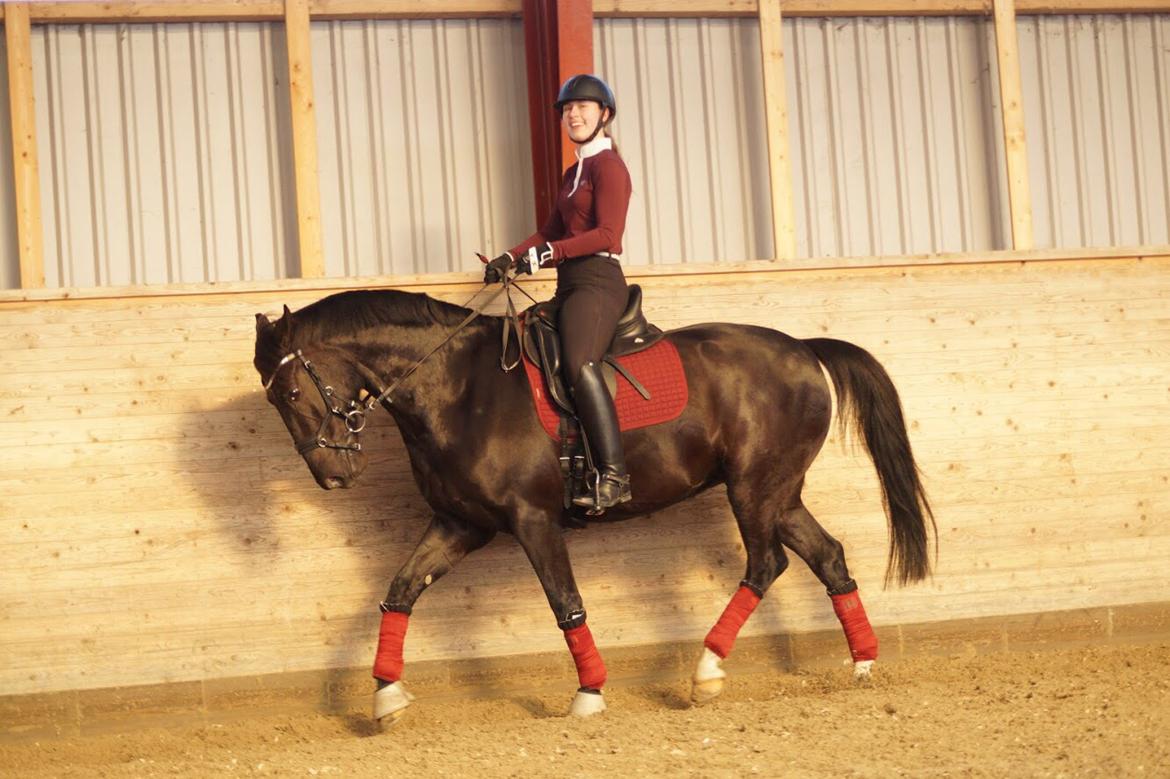 Oldenborg Fillip billede 10