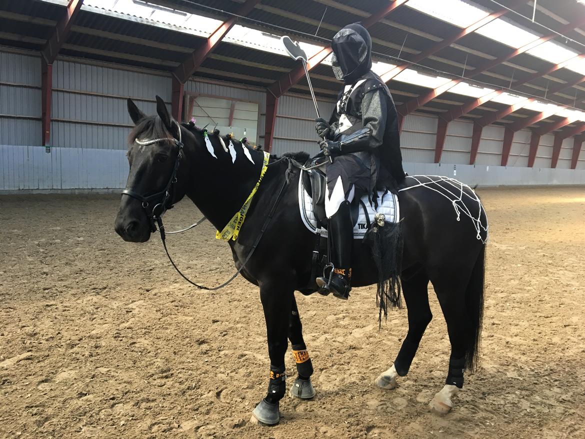 Oldenborg Fillip billede 15