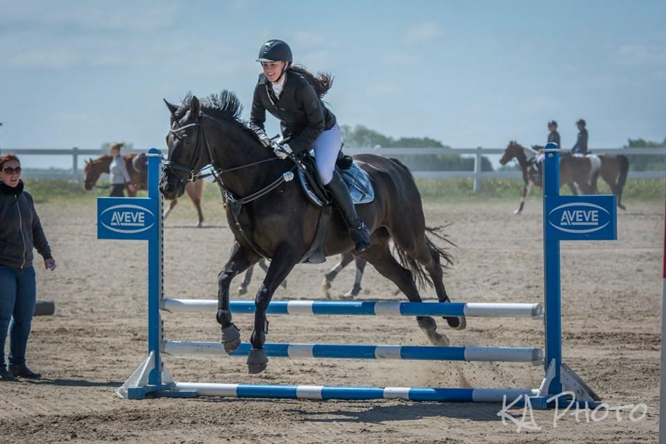 Trakehner EGATTA - Fotograf: KAphoto billede 17