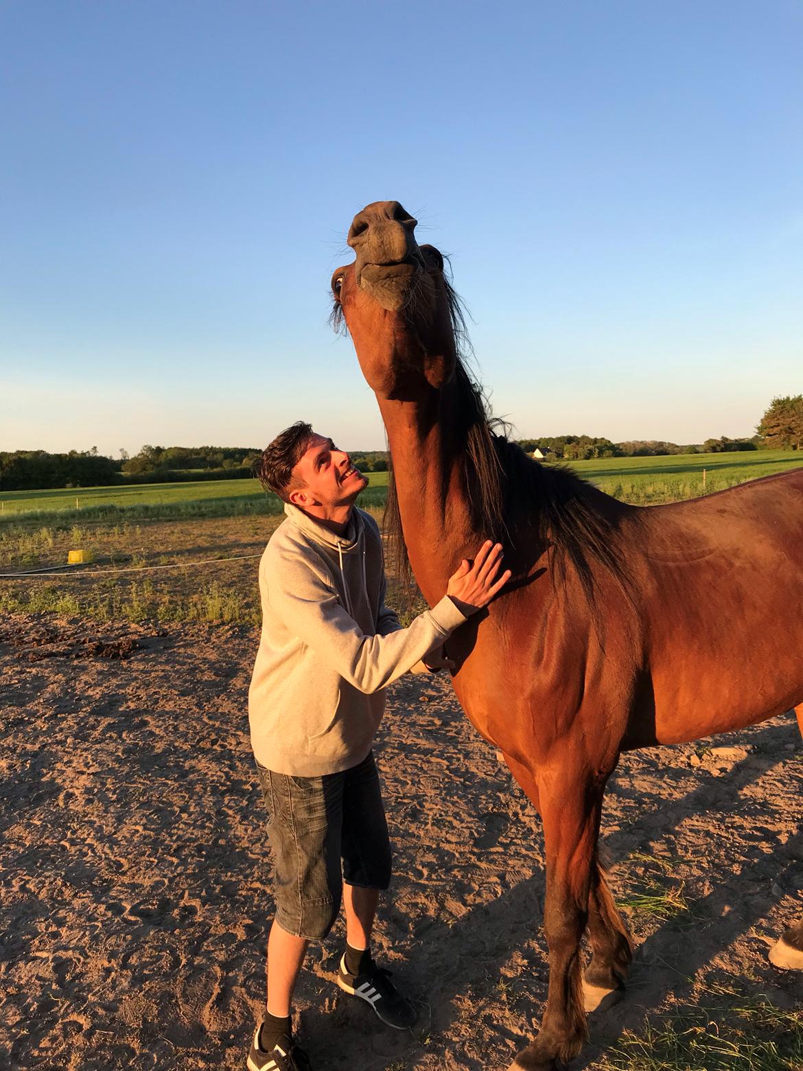 Traver Jovial Millpond billede 13