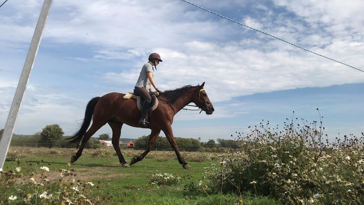 Traver Jovial Millpond billede 15